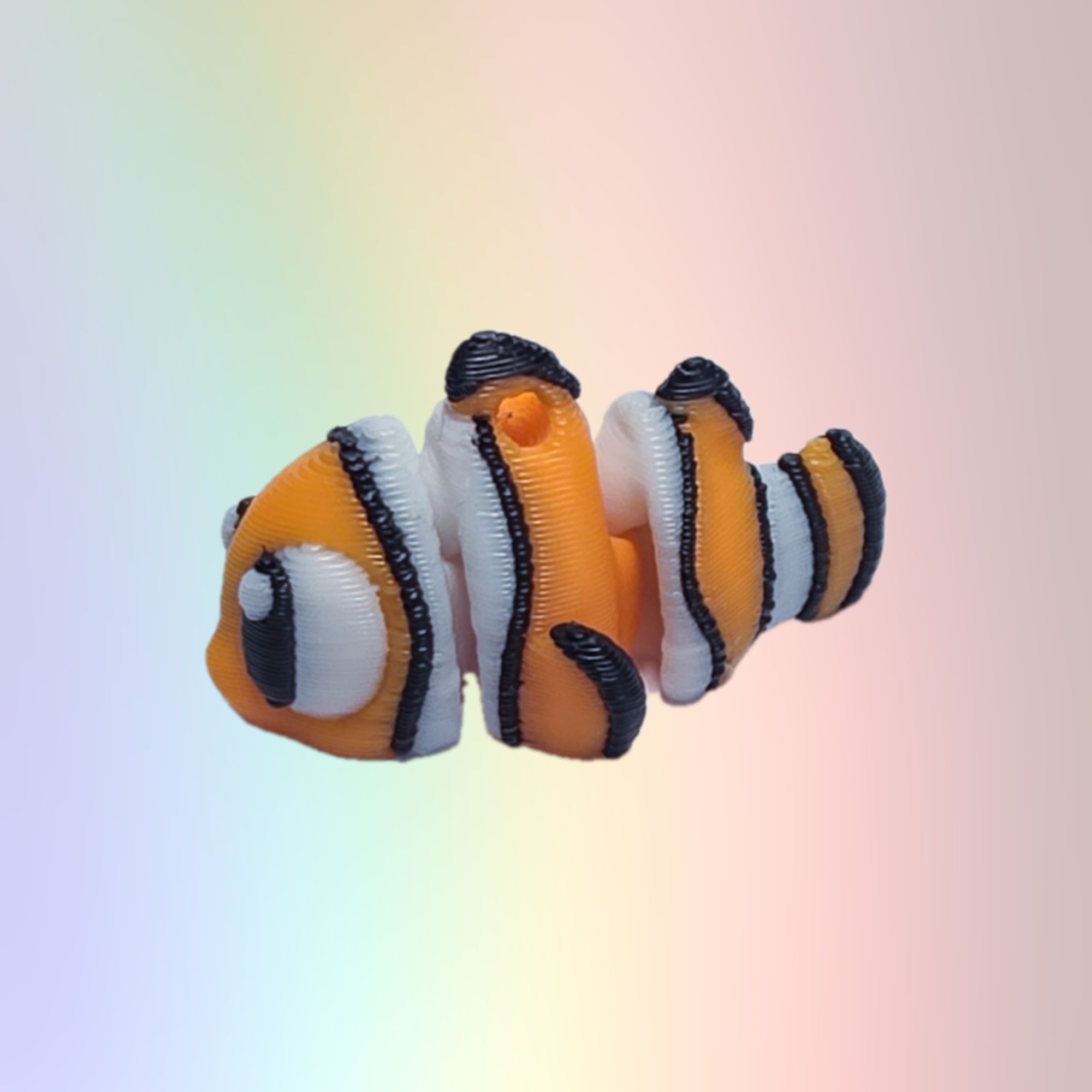 Articulated Pocket Clownfish - Image 3