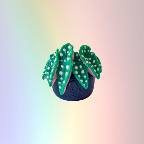 Spotted Begonia - Custom Bookcase Clicker