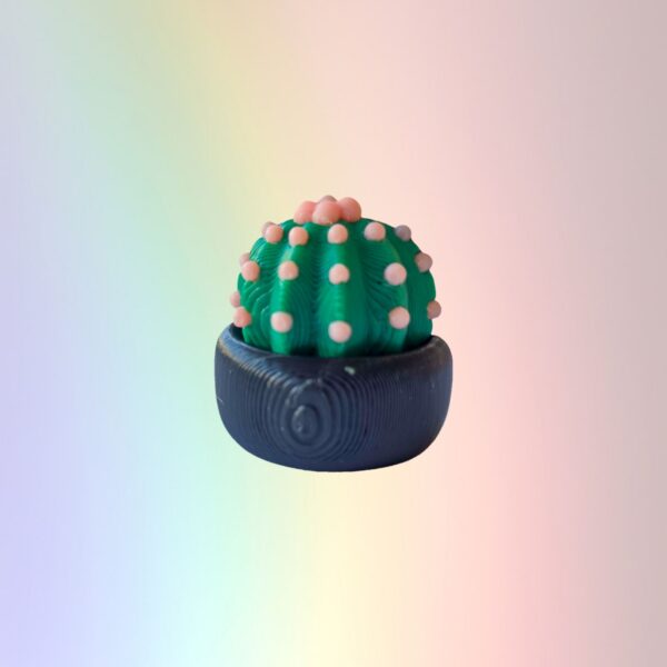 Barrel Cactus - Custom Bookcase Clicker