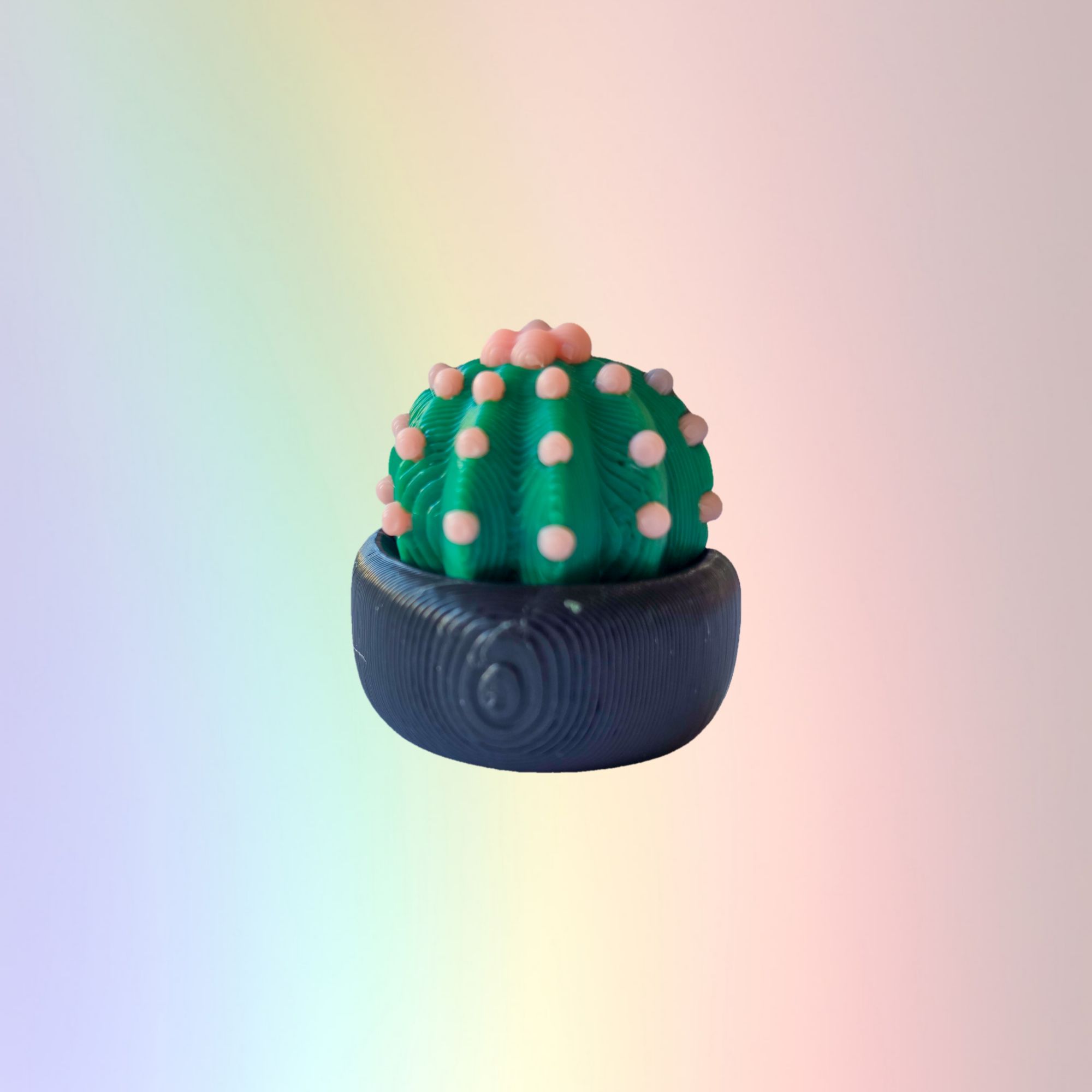 Barrel Cactus - Custom Bookcase Clicker