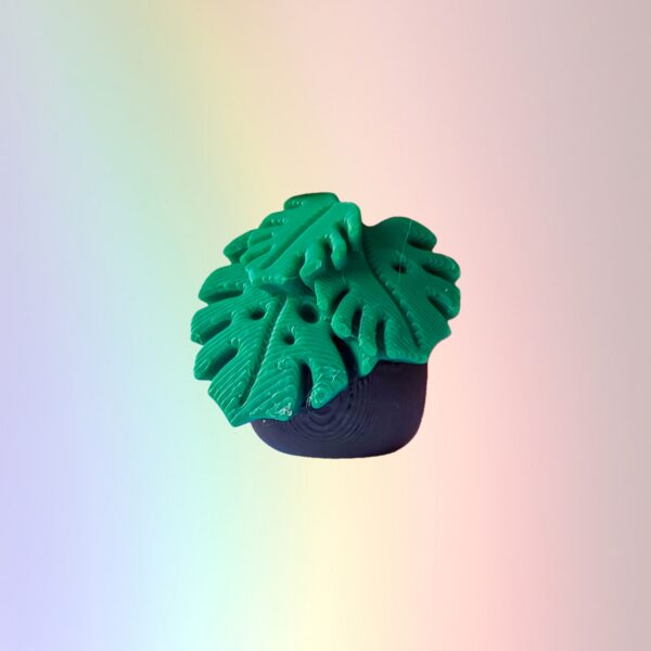 Monstera - Custom Bookcase Clicker